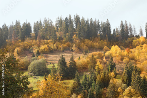 Beautiful view of forest and mountain village on autumn day