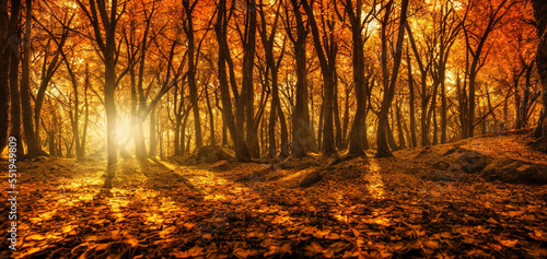 Autumn forest in the morning