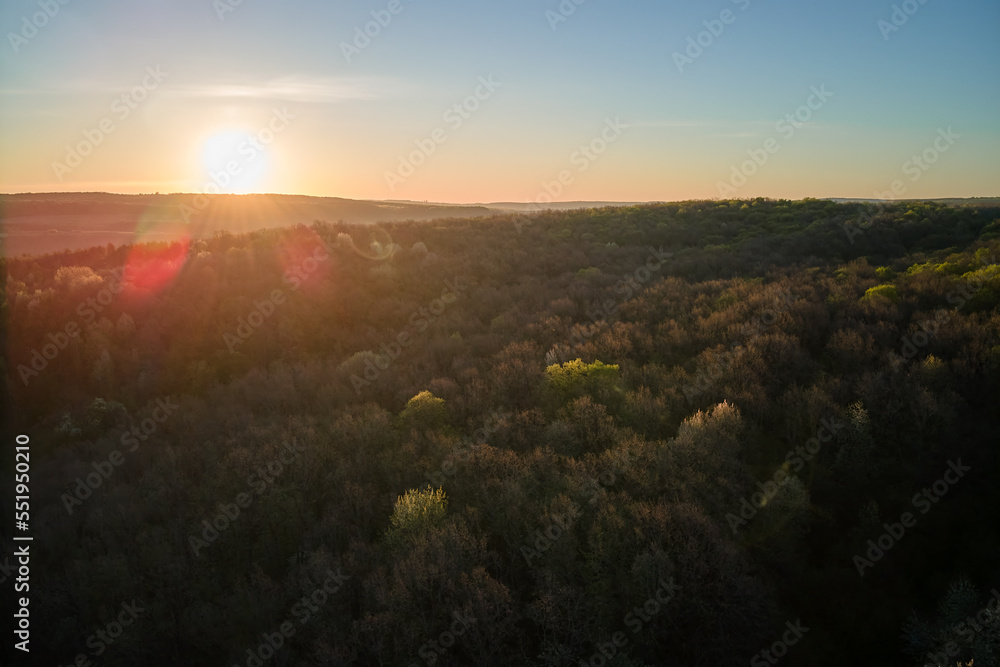 Aerial view of woodland with fresh green trees in early spring at sunset Aerial view of woodland with fresh green trees in early spring at sunset