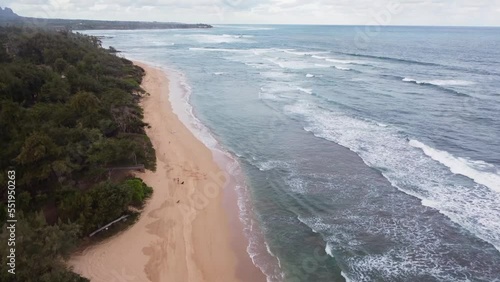 Wallpaper Mural Ocean background, bright blue sky with white clouds, golden sand beach and waves. Pacific Ocean, Hawaii, Kauai island, USA Torontodigital.ca