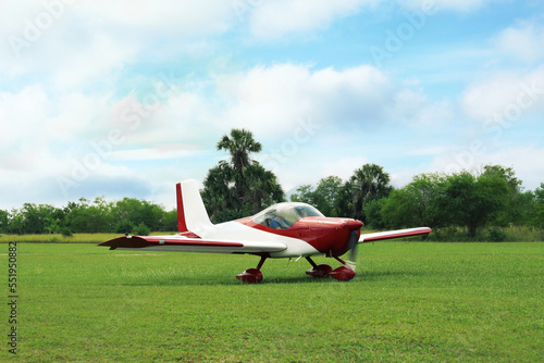 Принти на полотні Ultralight aircraft on green grass near trees