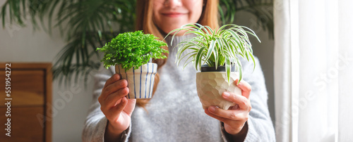 Closeup image of a beautiful young woman holding and showing two pot of houseplants at home
