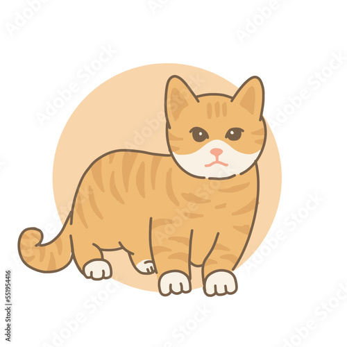 Cat cartoon animal cute kawaii doodle yellow color