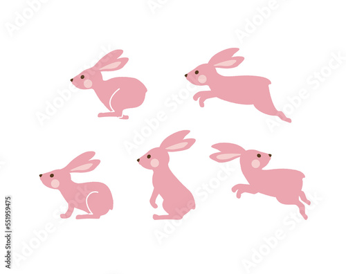色々なポーズのウサギ