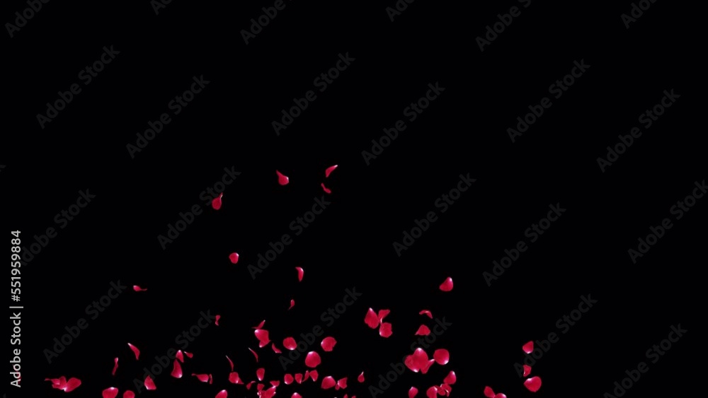Red Rose Petals Burst 4 Clip with alpha Channel. Element footage place on footage or background. Red Rose Petals Burst 4 Clip with alpha Channel. Element footage place on footage or background.
