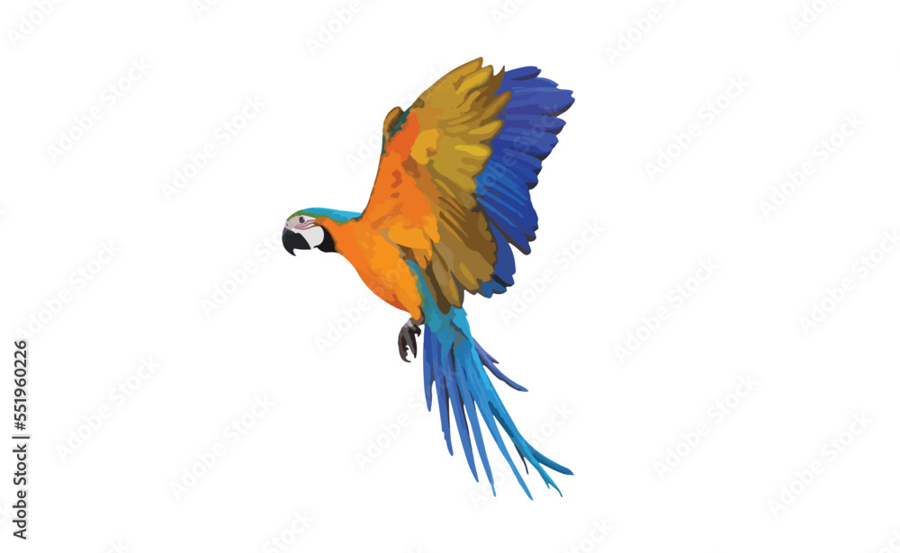 Obraz premium Colorful flying parrot isolated on white. Vector Illustration.