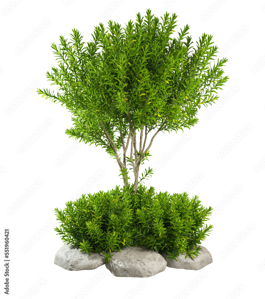Shrub Rendering