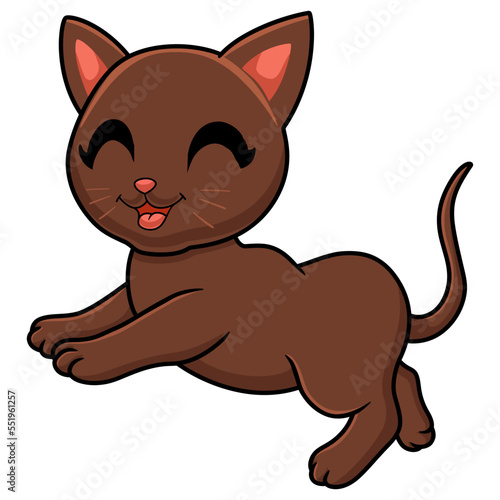 Cute havana brown cat cartoon