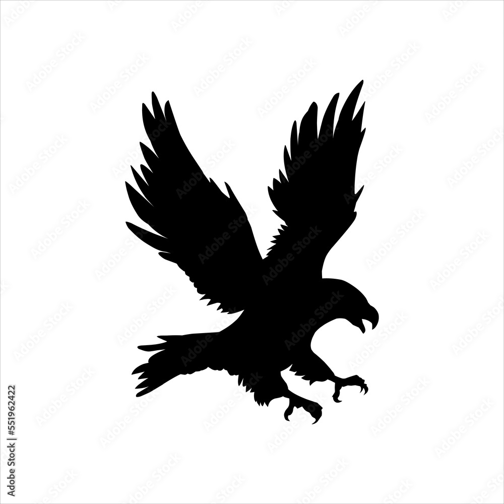 eagle in flight eagle in flight