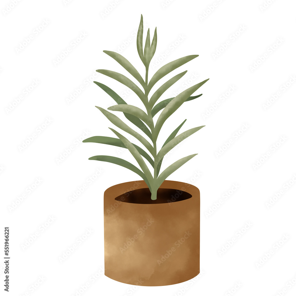 plant in flowerpot. Potted Plant Illustration. House Plants.