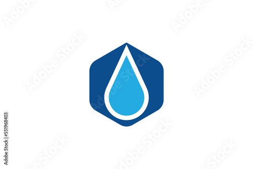 Polygon Water Drop Logo Design Template