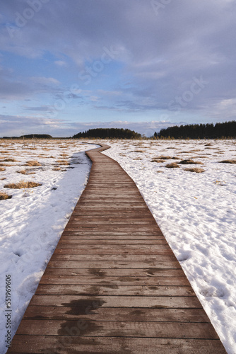 Winter landscape. Eco trail in the reserve.