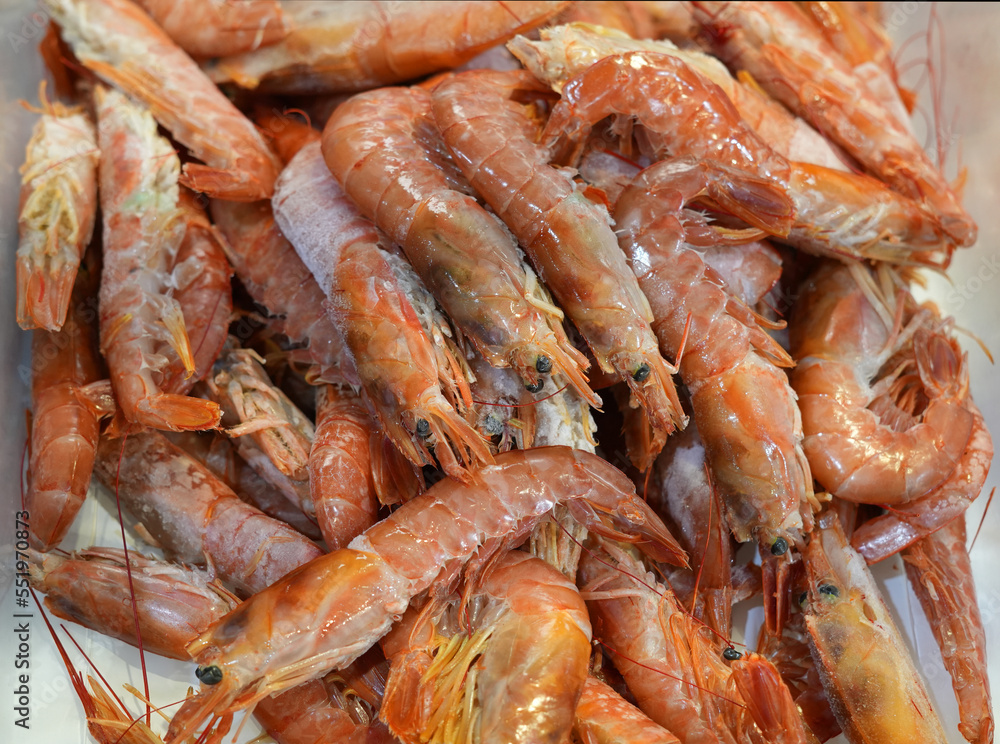 fresh frozen raw red coral shrimp
