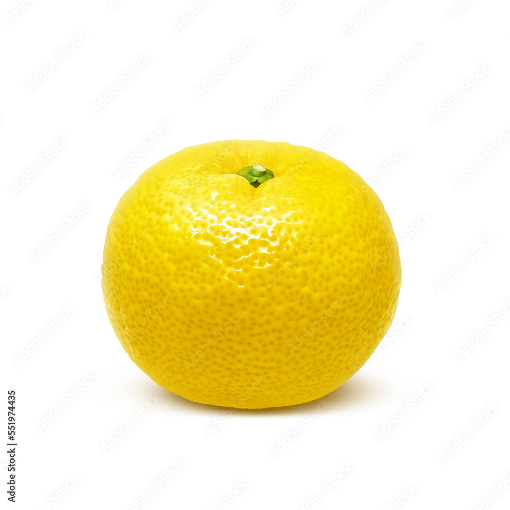 リアルな柚子のイラスト