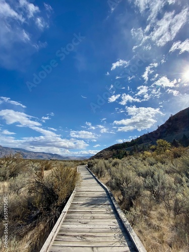 Osoyoos Desert Center, one of the world’s rarest ecosystems, in British Columbia, Canada