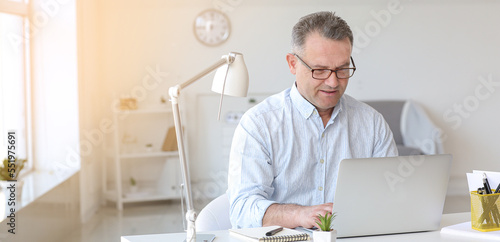 Mature businessman using mo...