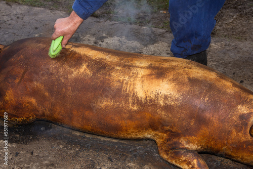 cleaning and washing a roasted pig before the winter holidays in Romania, Details