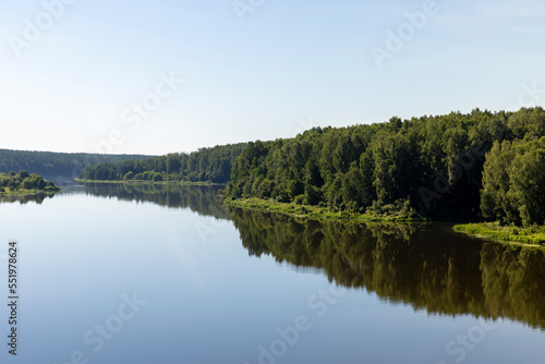 Fototapeta Naklejka Na Ścianę i Meble -  Trees in a mixed forest near the river in the summer season