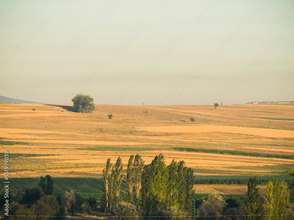 Agriculturel field