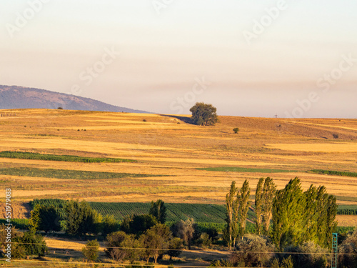 Agriculturel field