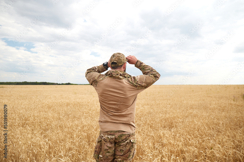 Ukrainian military man in wheat field. Ukrainian wheat fields and war ...