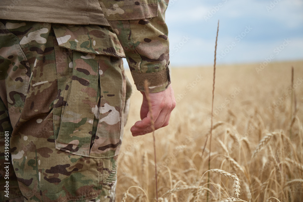 Ukrainian military man in wheat field. Ukrainian wheat fields and war ...