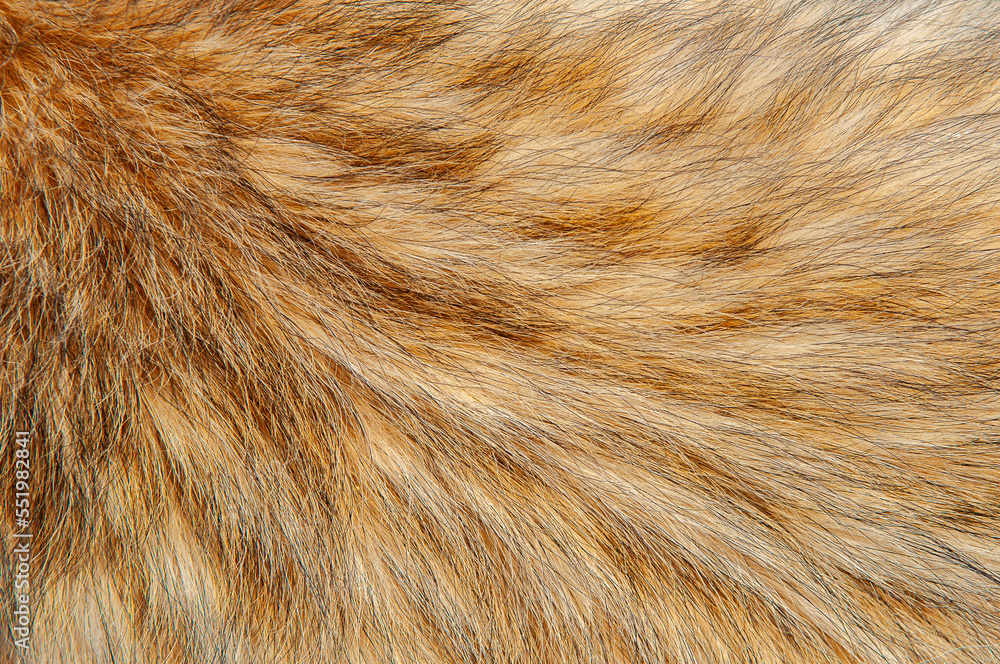 Beautiful spotted fur close-up. Texture of brown animal wool. Dog fur. Beautiful spotted fur close-up. Texture of brown animal wool. Dog fur.