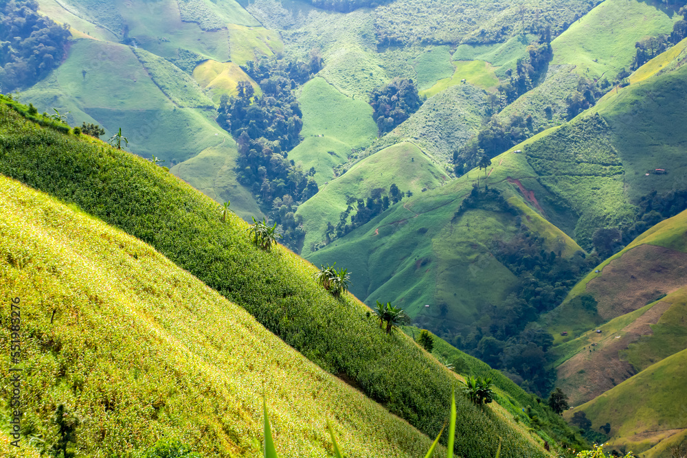 Beautiful mountain view of north Thailand in winter,journey Road trip holiday,Tourism and travel concept, Fresh and relaxed type nature. Beautiful mountain view of north Thailand in winter,journey Road trip holiday,Tourism and travel concept, Fresh and relaxed type nature.