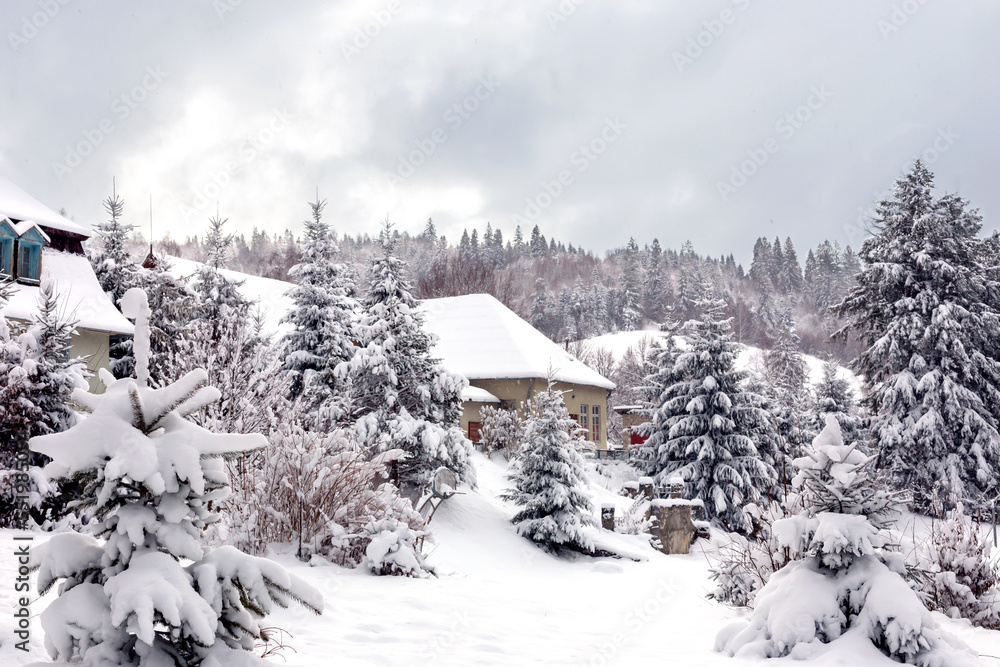 Winter. Snow-covered houses among the forest