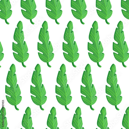 Vector illustration of a tropical leaf pattern. The outer organ of the plant.