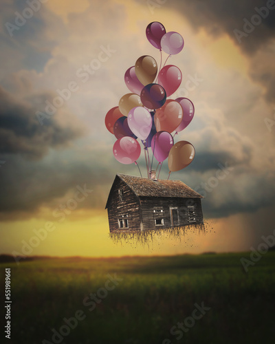 House being carried by multi colored balloons in an open field in the sunset.