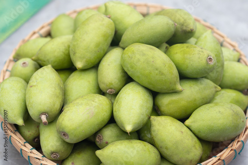 Wallpaper Mural Fresh green Elaeocarpus hygrophilus Kurz in a basket Torontodigital.ca