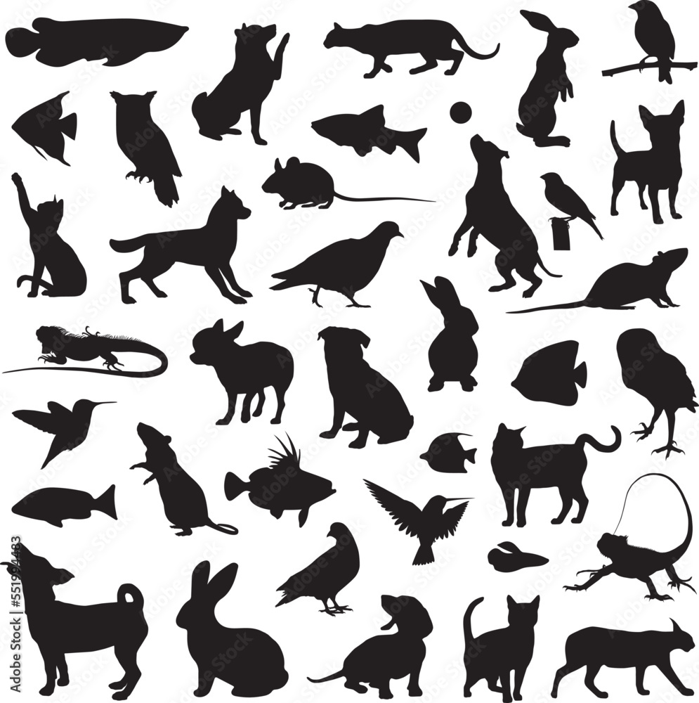 Pet animal home silhouette Pet animal home silhouette