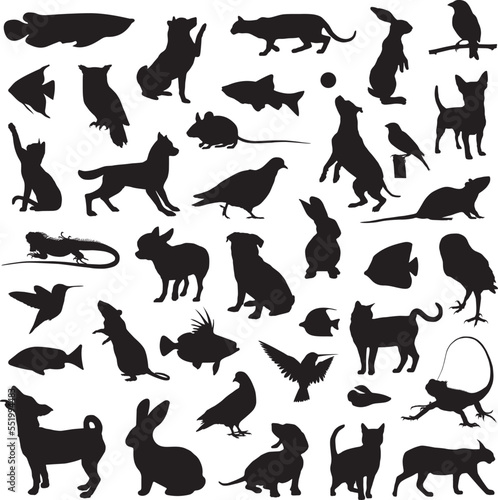 Pet animal home silhouette