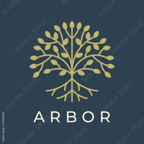 Photography Modern tree logo design