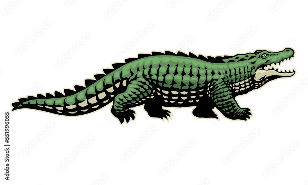 Angry Crocodile in Hand Drawing Style Angry Crocodile in Hand Drawing Style