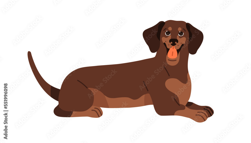 Sausage dog tail deals