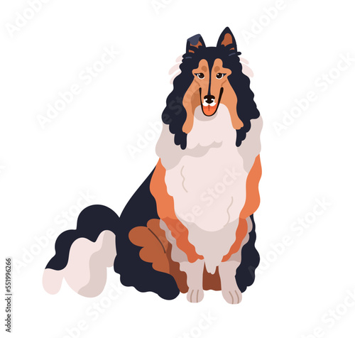 Cute dog of Collie breed, pedigree. Happy funny long-coated hairy doggy. Ador...
