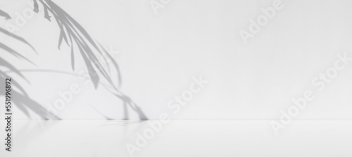 Fotografia Minimal abstract scene for the presentation of a cosmetic product
