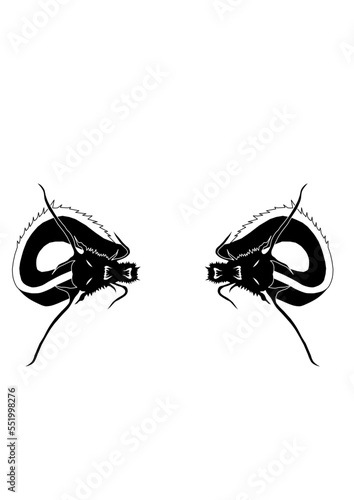 Tête et cou de dragon en noir et blanc opposés, bien travaillées graphiquement avec beaucoup d'originalité. © Yves