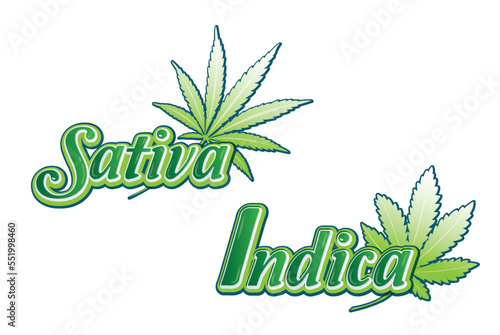 Indica and Sativa Marijuana leaf. Medical cannabis is logo