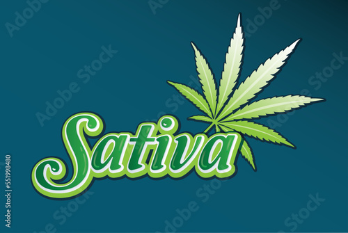 Indica and Sativa Marijuana leaf. Medical cannabis is logo