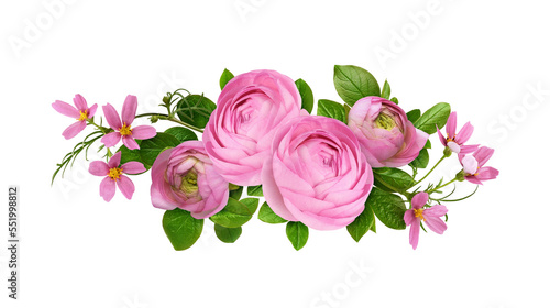 Pink ranunculus flowers  cosmea and green leaves in a floral arrangement isolated on white or transparent background
