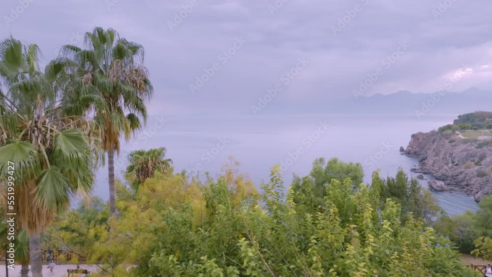 Flight over the park area. Green trees and palms. Paths. Cloudy sky on a summer day. Sea and rocks in the background. Flight over the park area. Green trees and palms. Paths. Cloudy sky on a summer day. Sea and rocks in the background.