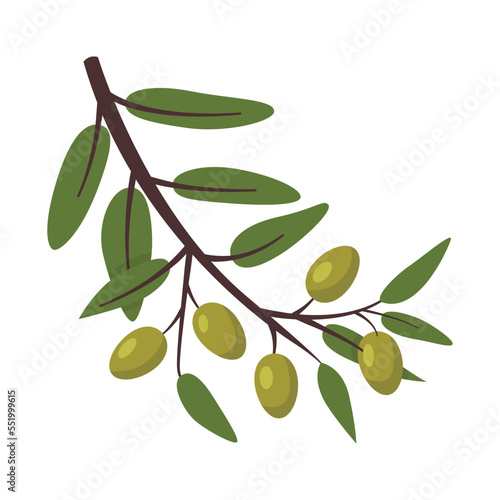 Wallpaper Mural Branch of olive with green leaves. Natural vegetable oil. Healthy food. Italy plant. Vector flat illustration isolated on white background Torontodigital.ca
