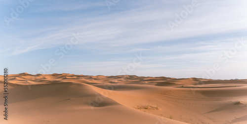 Fototapeta Naklejka Na Ścianę i Meble -  views of the sahara desert dunes