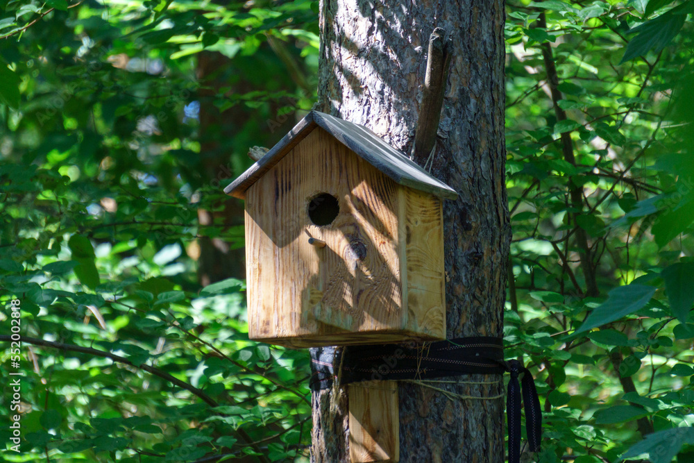 Birdhouse or bird box with natural green leaves background. Selective focus Birdhouse or bird box with natural green leaves background. Selective focus