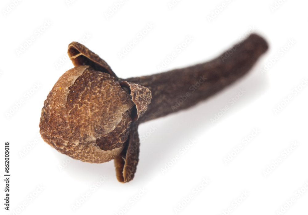 Obraz premium Cloves spices isolated on white background.