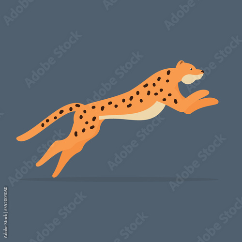 Cheetah in a jump  side view 