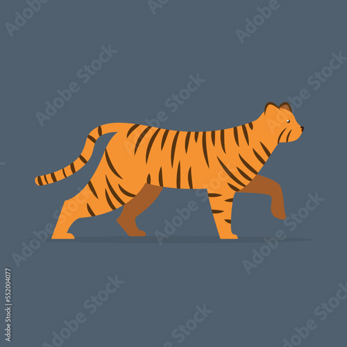 Tiger with front paw raised